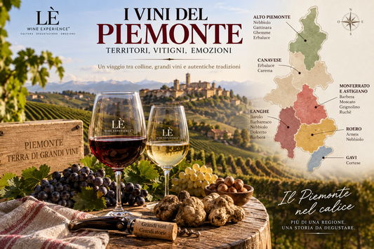 Vini del Piemonte: mappa, vitigni e zone