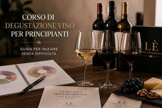Corso degustazione vino principianti: guida per iniziare